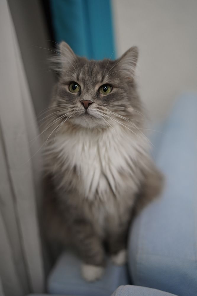 Photograph by Alerin