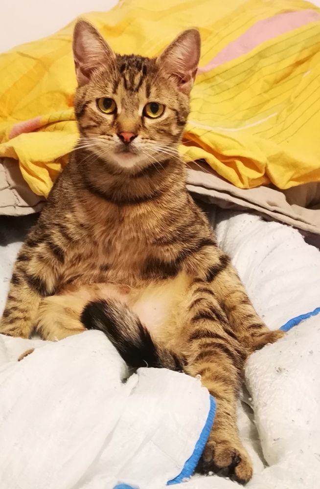 Photograph by Nikolett Mengyi