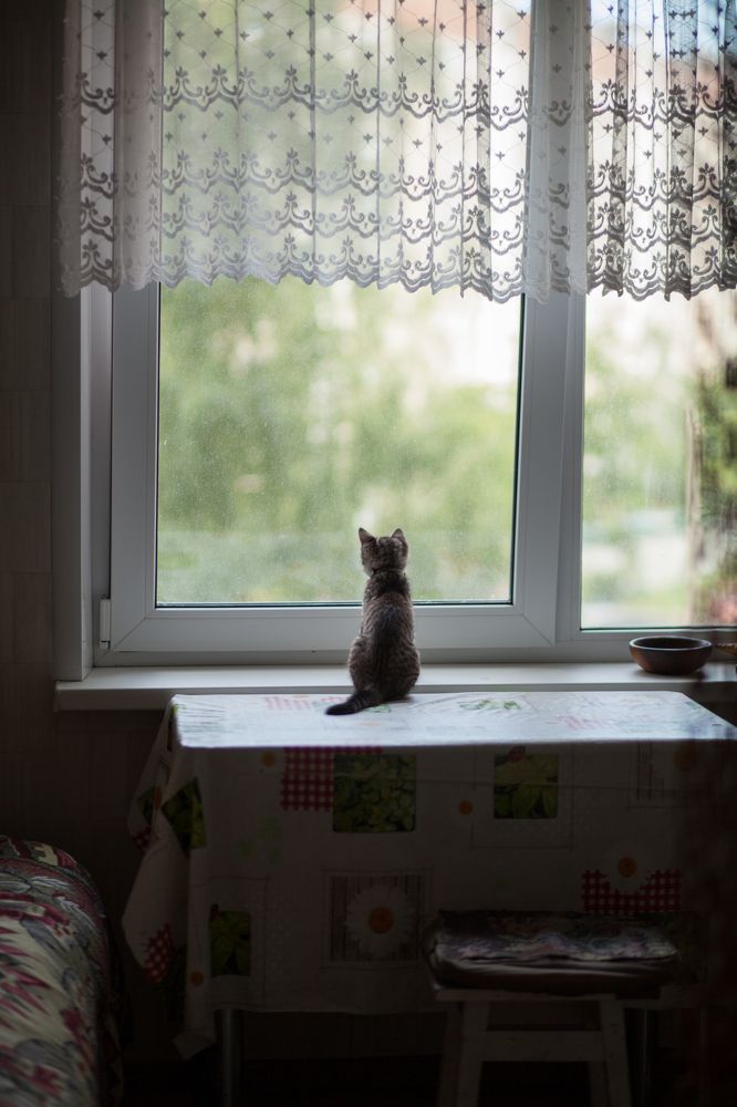 Большой мир