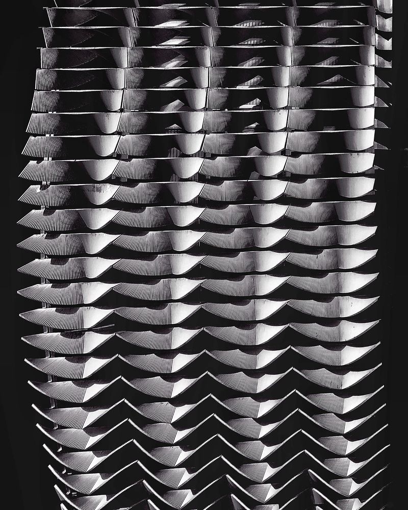 Photograph by mehdi shirvani