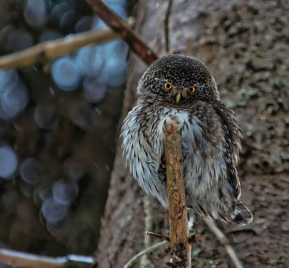 Photograph by Алексей Долженко