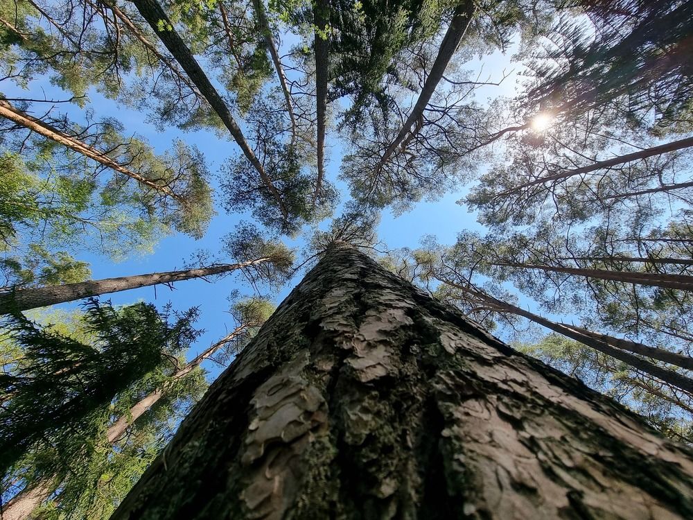 Photograph by Aivaras Beriozovas