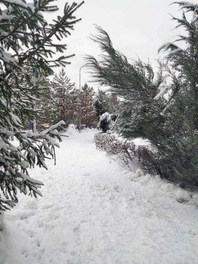 Photo #8710703