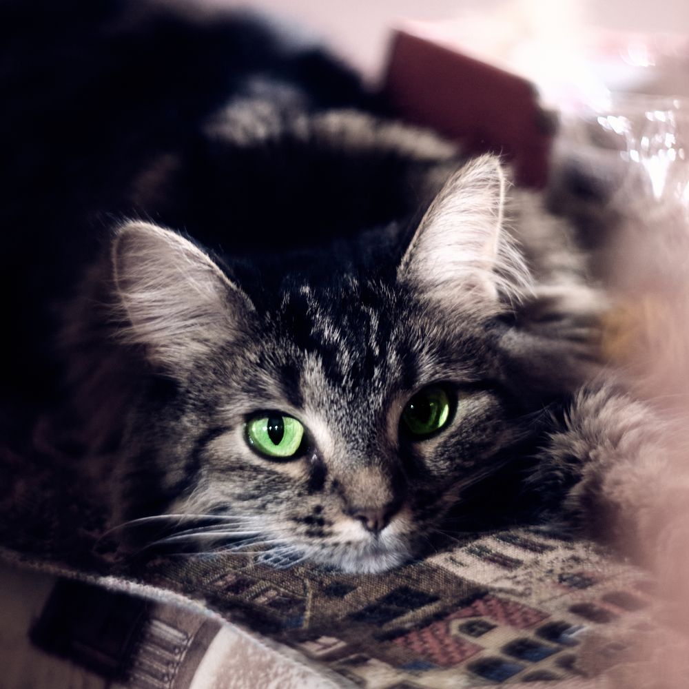 Photograph by Виктория Колышева