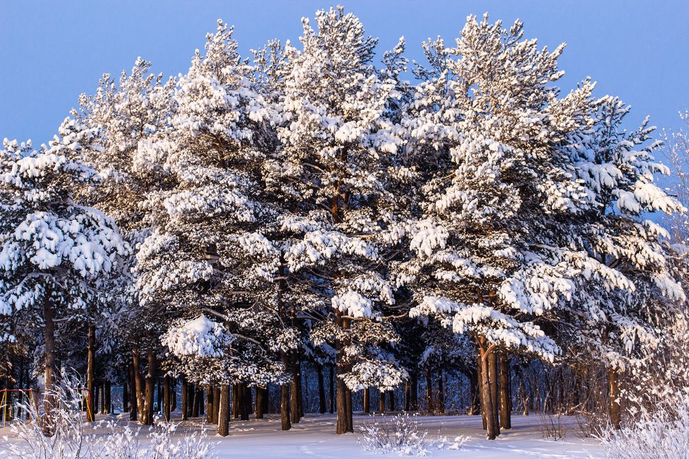 Photograph by Виталий Са