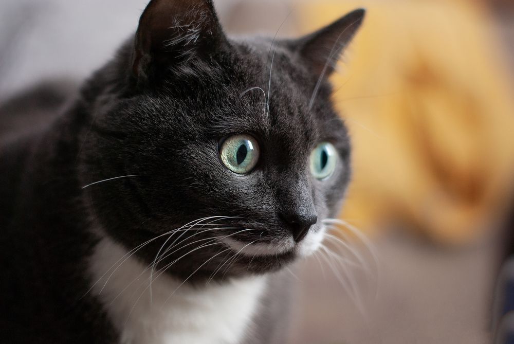 Photograph by Татьяна Гурьянова