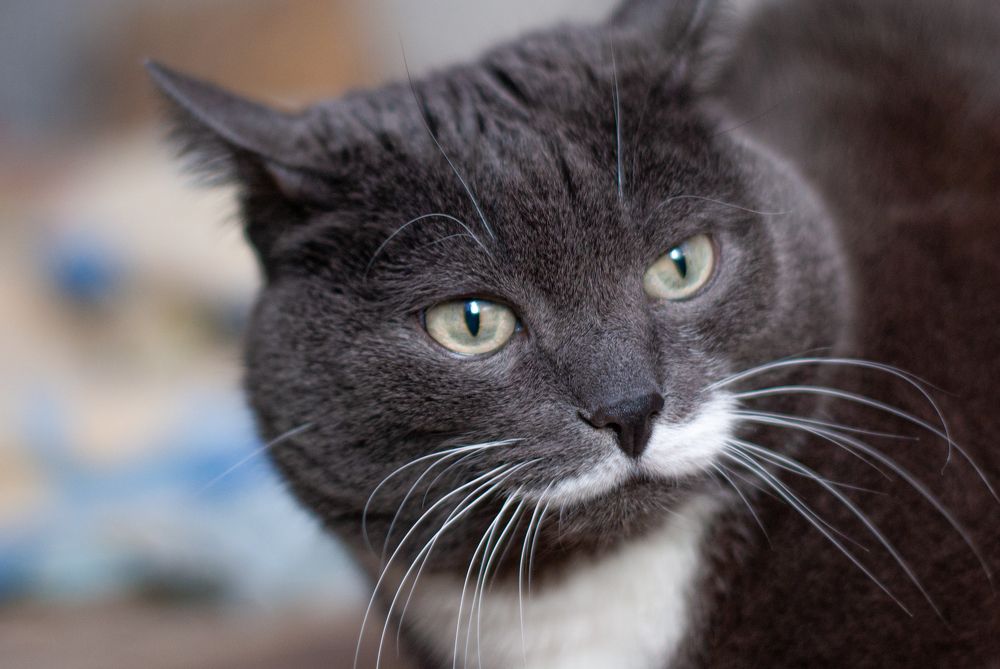 Photograph by Татьяна Гурьянова