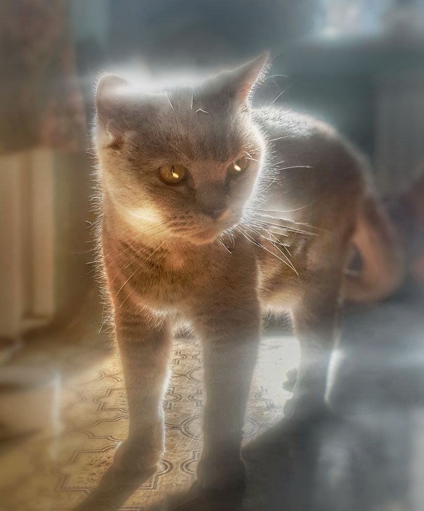 Photograph by Игорь