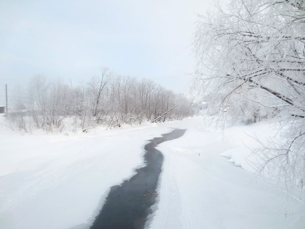 Photograph by Ирина Колпакова