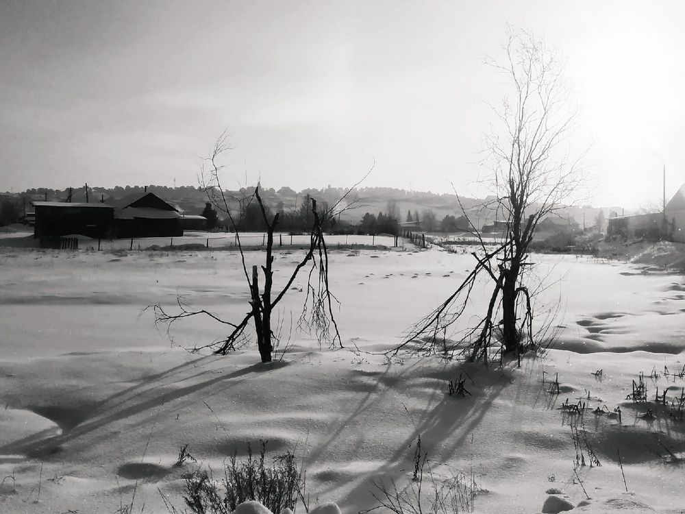 Photograph by Ирина Колпакова