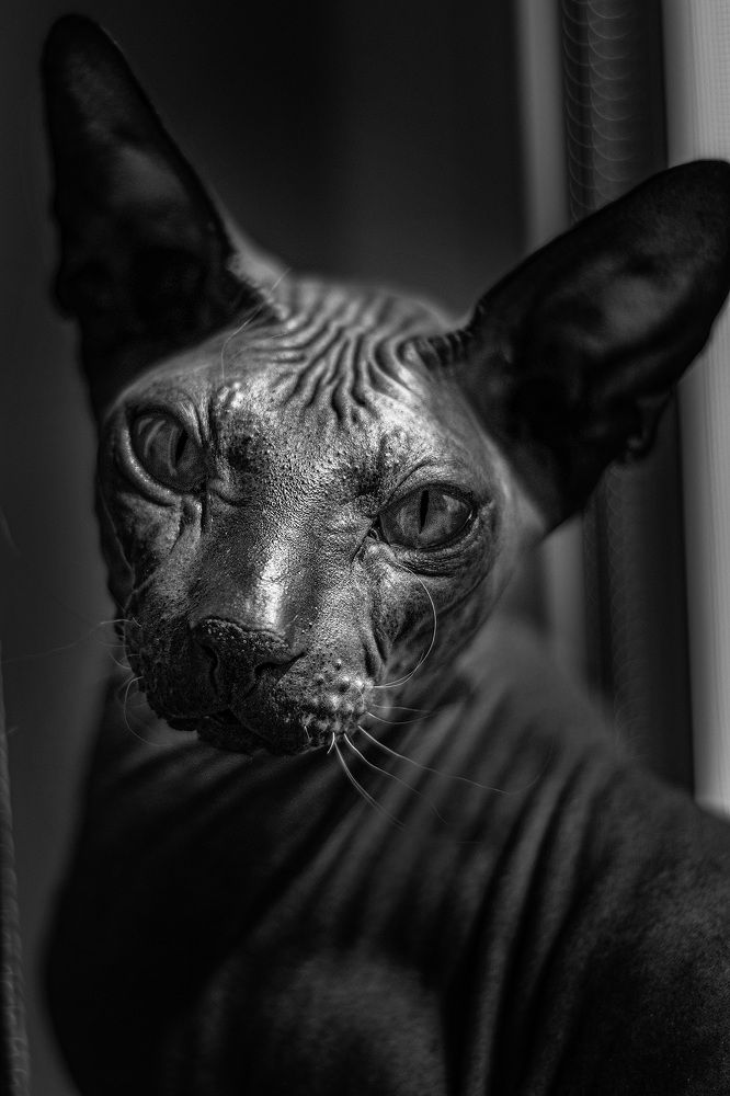 Photograph by Ангелина Mельникова