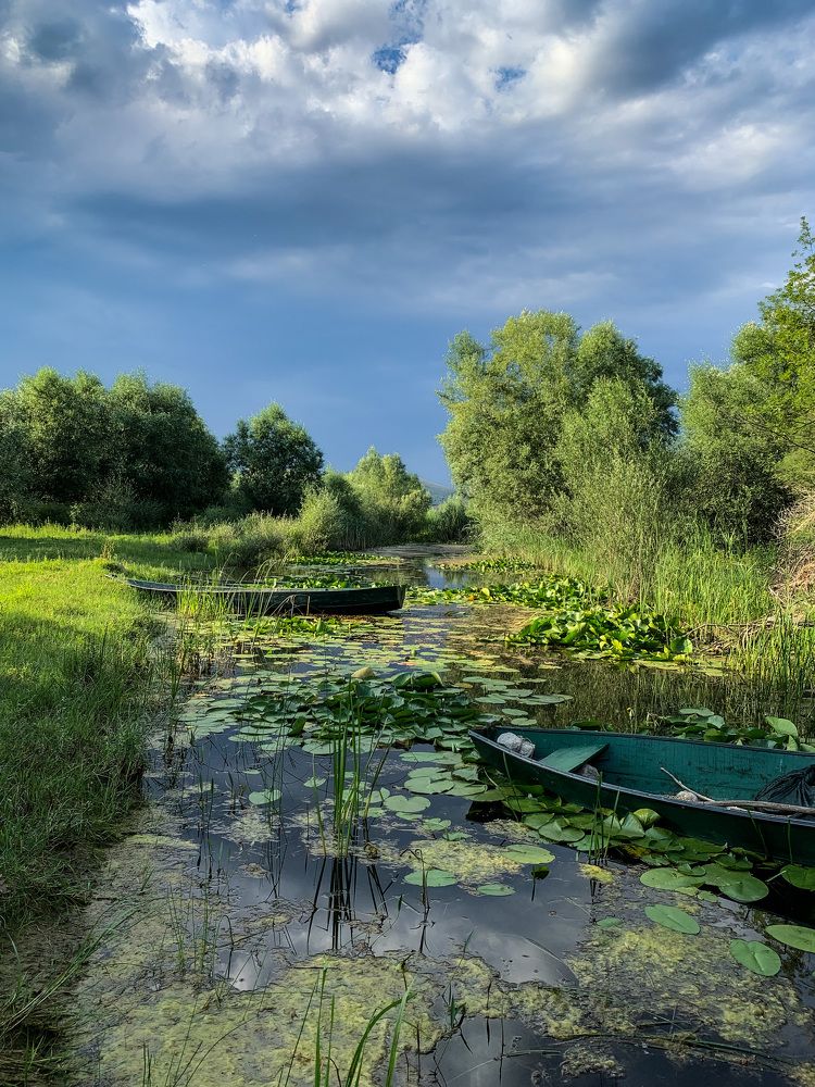 Photograph by Meliha Suskavcevic