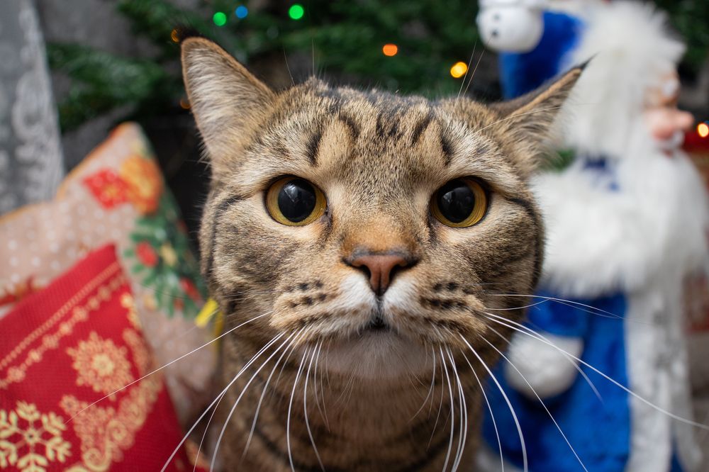 Photograph by Наталья Мотрий