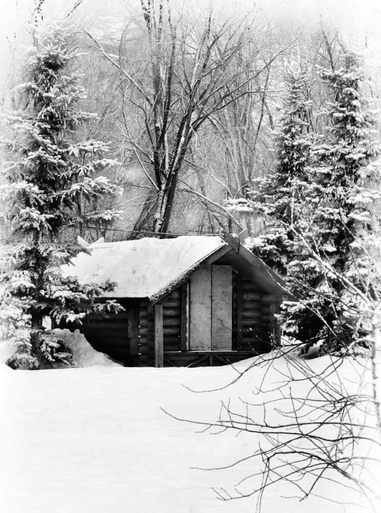 Photograph by Ирина Бабенкова