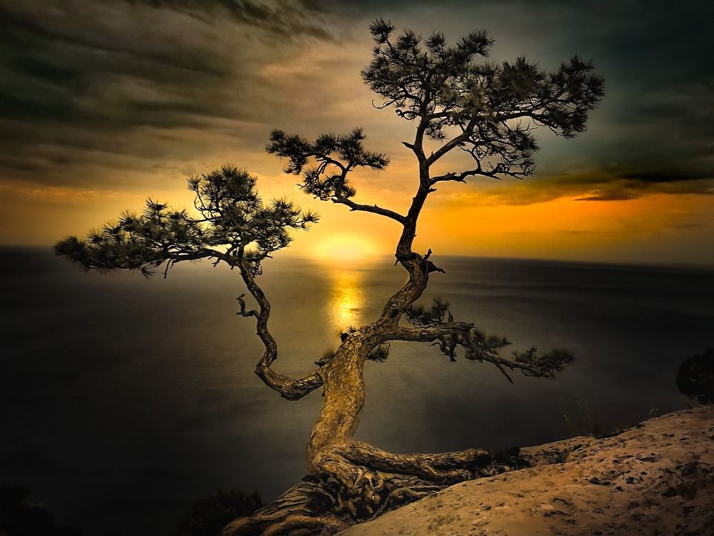 Цвет заката