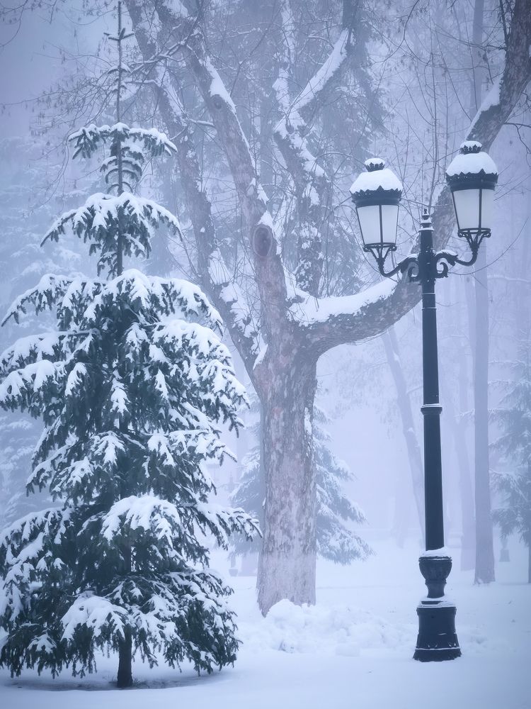 Photograph by Алексей Тарасов