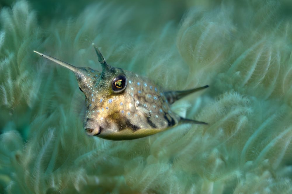 Photograph by Дериглазова Марина Владимировна