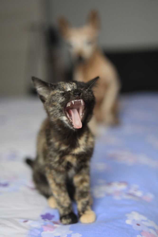 Photograph by Ольга Трифонова