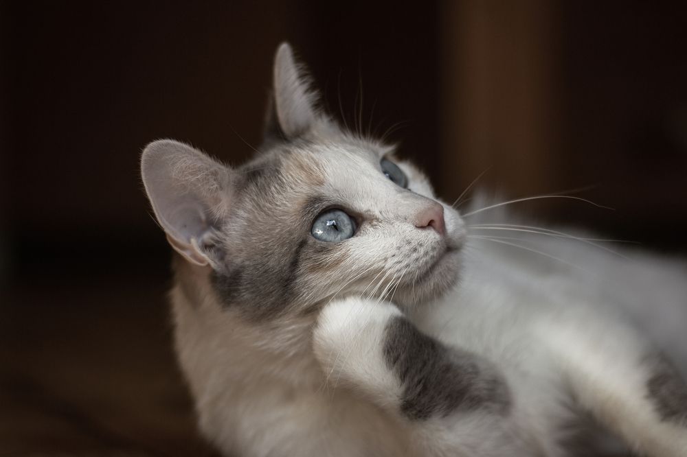 Photograph by Александр Волков