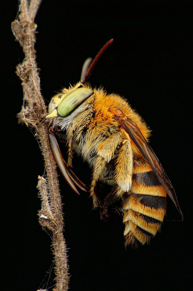 Photograph by MUHAMMAD EKO PRASETYO WICAKSONO