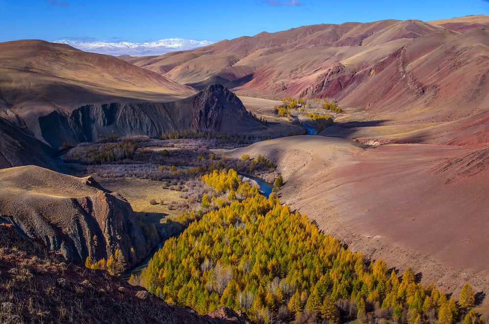 Photograph by Чичкин Валерий