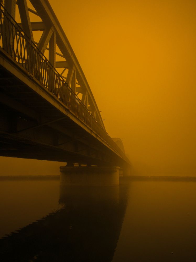 Photograph by شريف سعيد