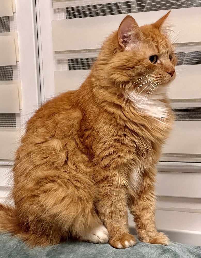 Photograph by Олег Банковский