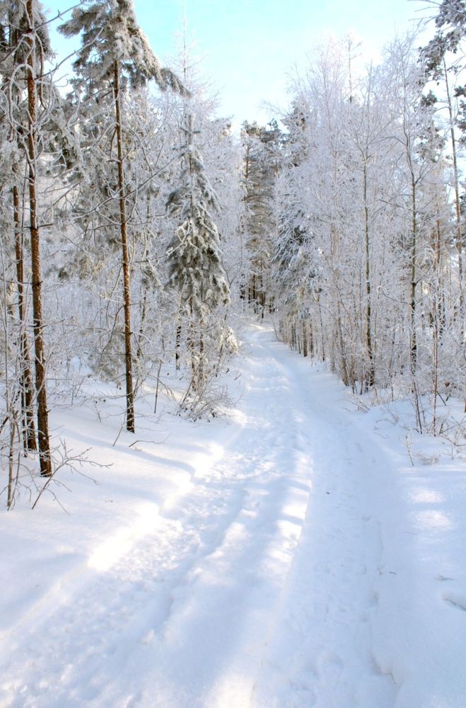 Photograph by Елена Кузнецова