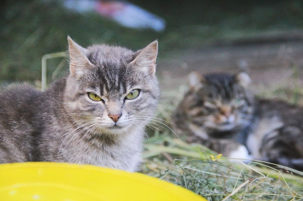 Photograph by Виктория Зотова