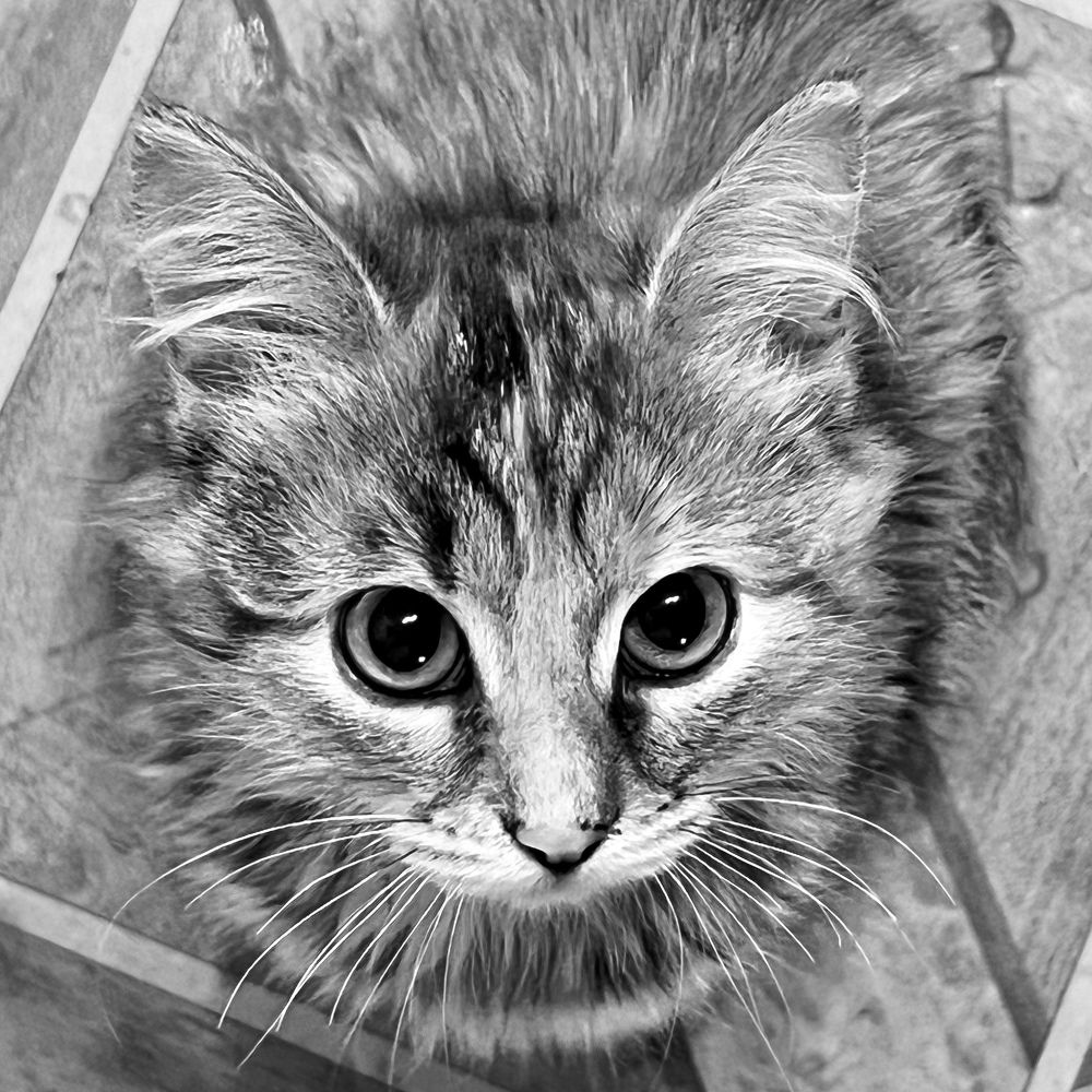 Photograph by Олег Банковский