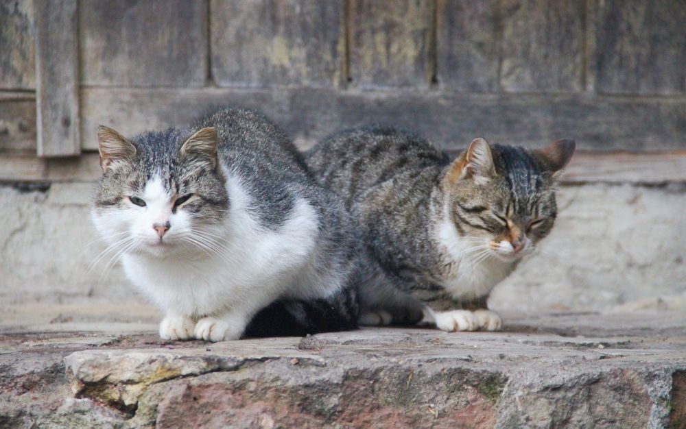 Photograph by Виктория Зотова