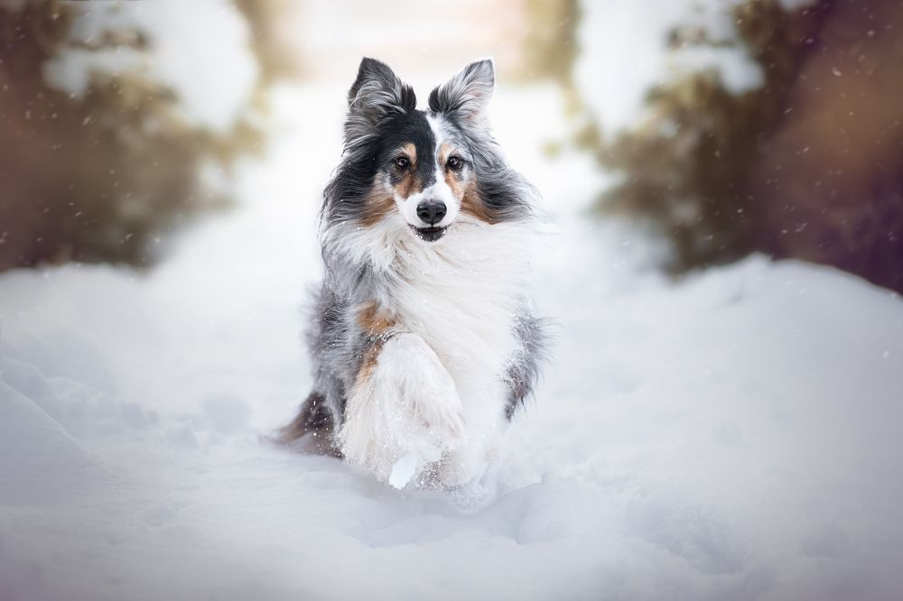 Photograph by Stefania Perrucci