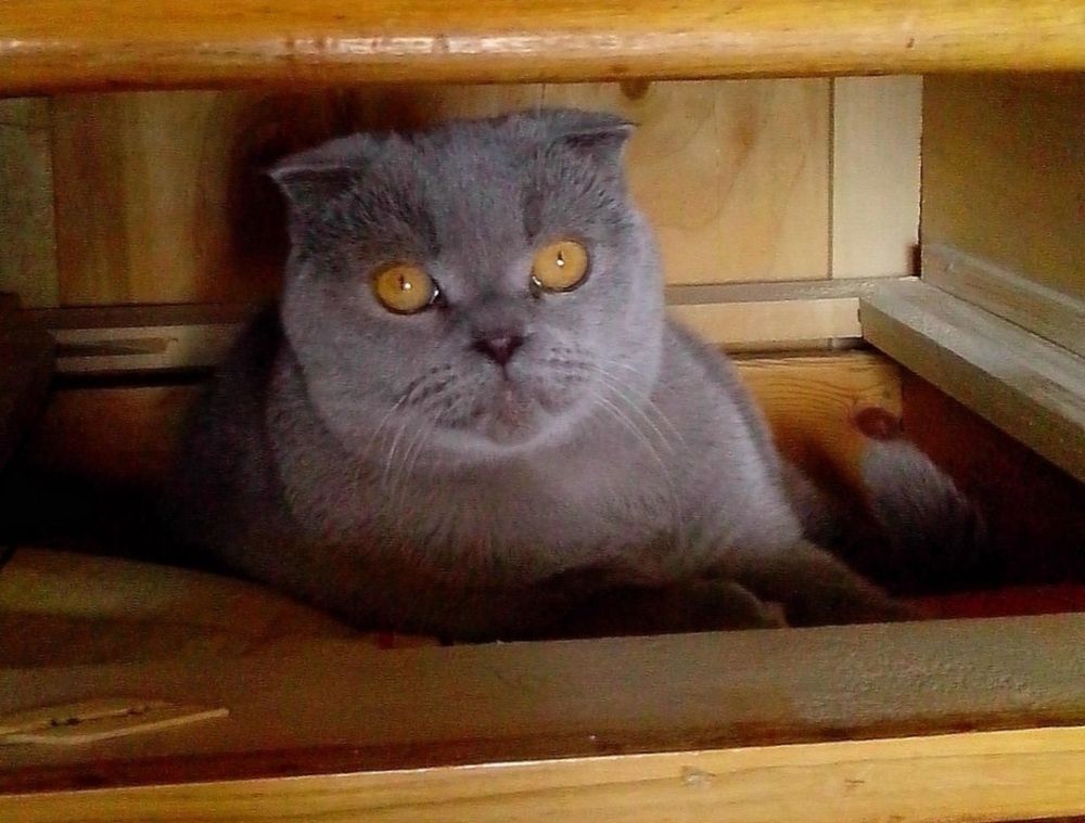 Photograph by Татьяна Кунц