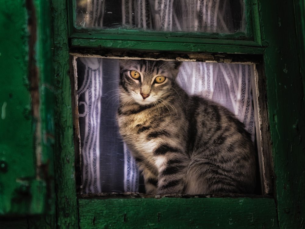 Photograph by Владимир Кваша