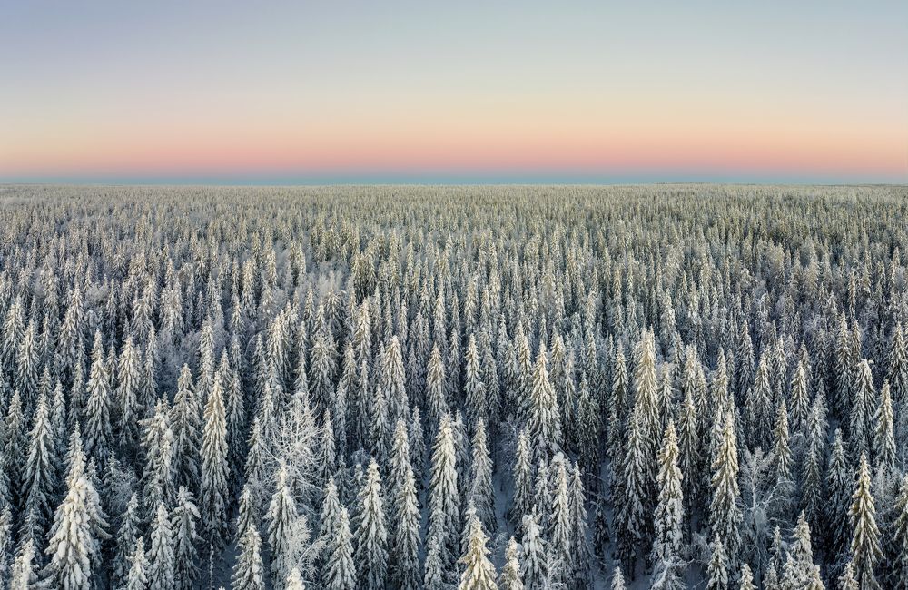 Photograph by Алексей Фрилунд