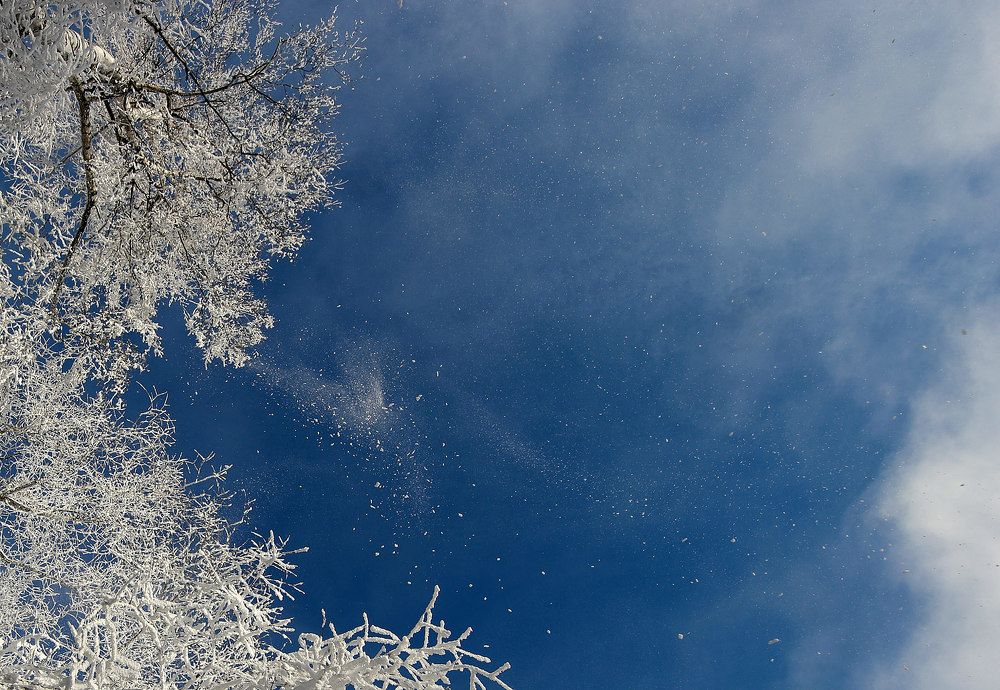 Photograph by Дмитрий Ткаченко