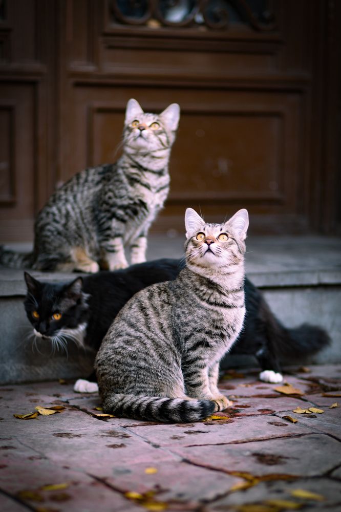 Photograph by Владислав Данилов