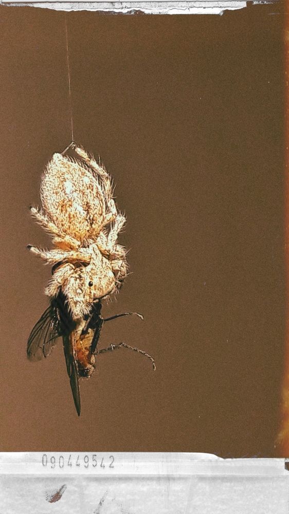 Photograph by Mozhgan Fotouhi