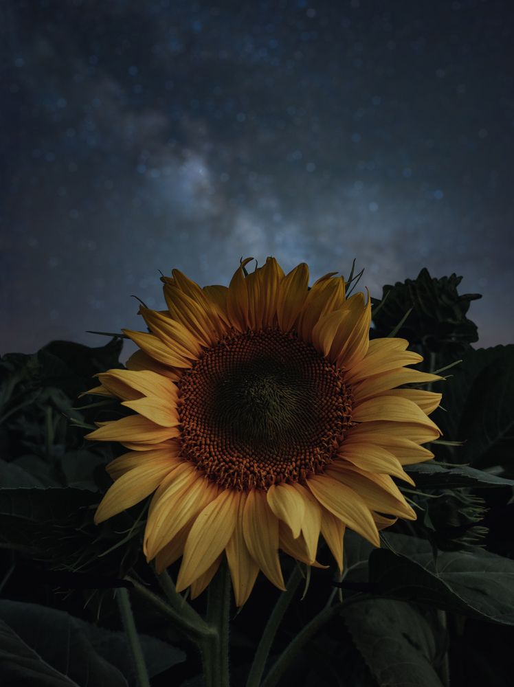 Photograph by Márió Ɵrsós