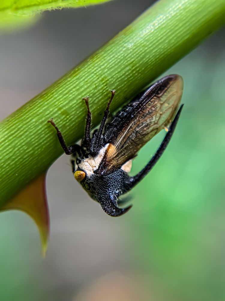 Photograph by Sandhi Sarda