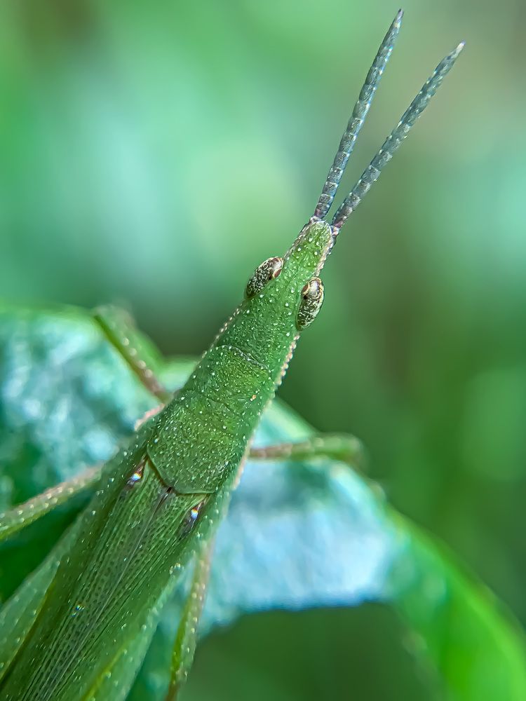 Photograph by Sandhi Sarda