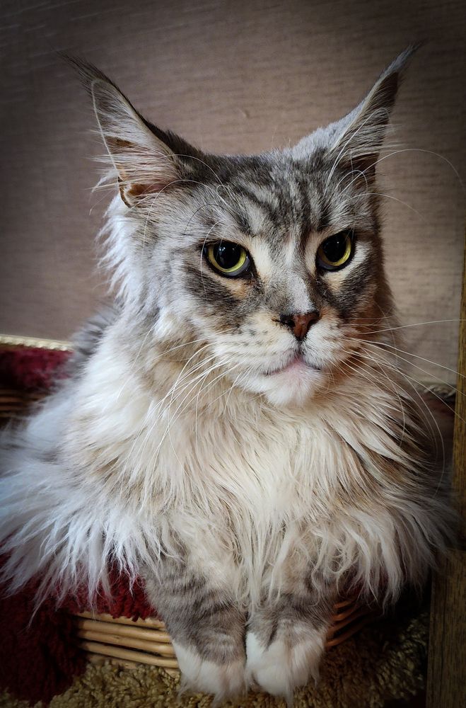 Photograph by Филиппов Олег