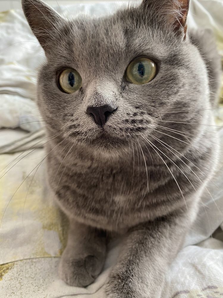 Photograph by Есения  Марванова