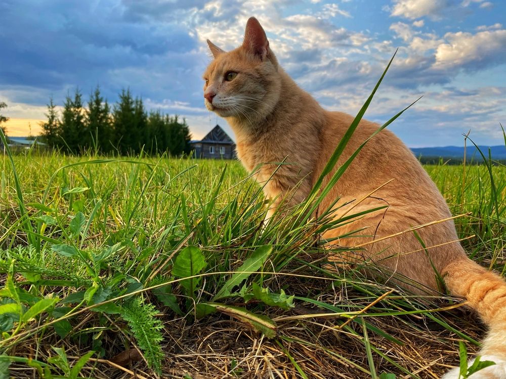 Photograph by Есения  Марванова