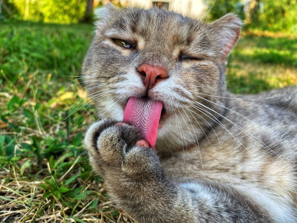 Photograph by Есения  Марванова