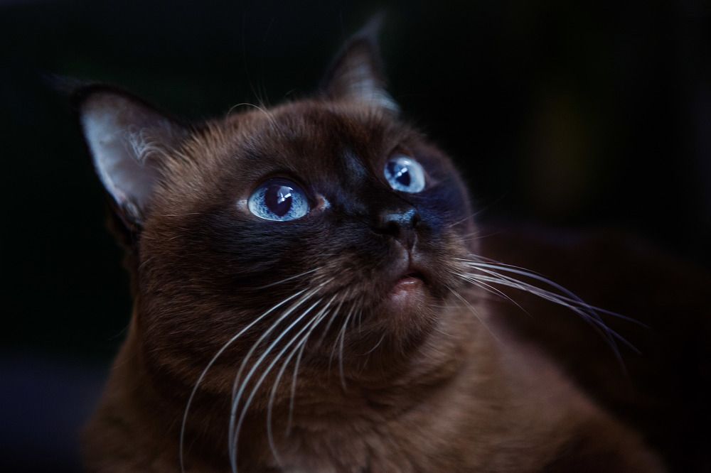 Photograph by Анастасия Глазюк