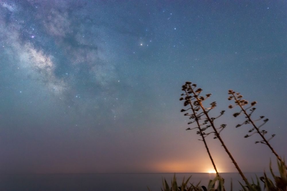 Photograph by Salvatore Cerruto