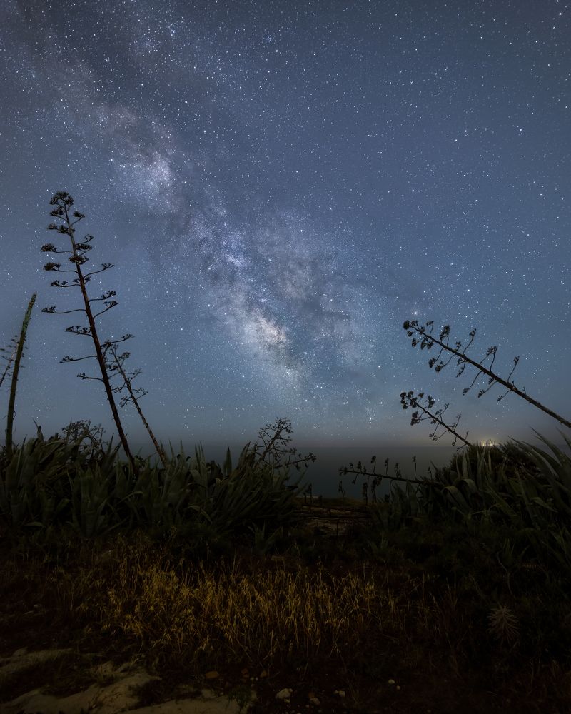 Photograph by Salvatore Cerruto