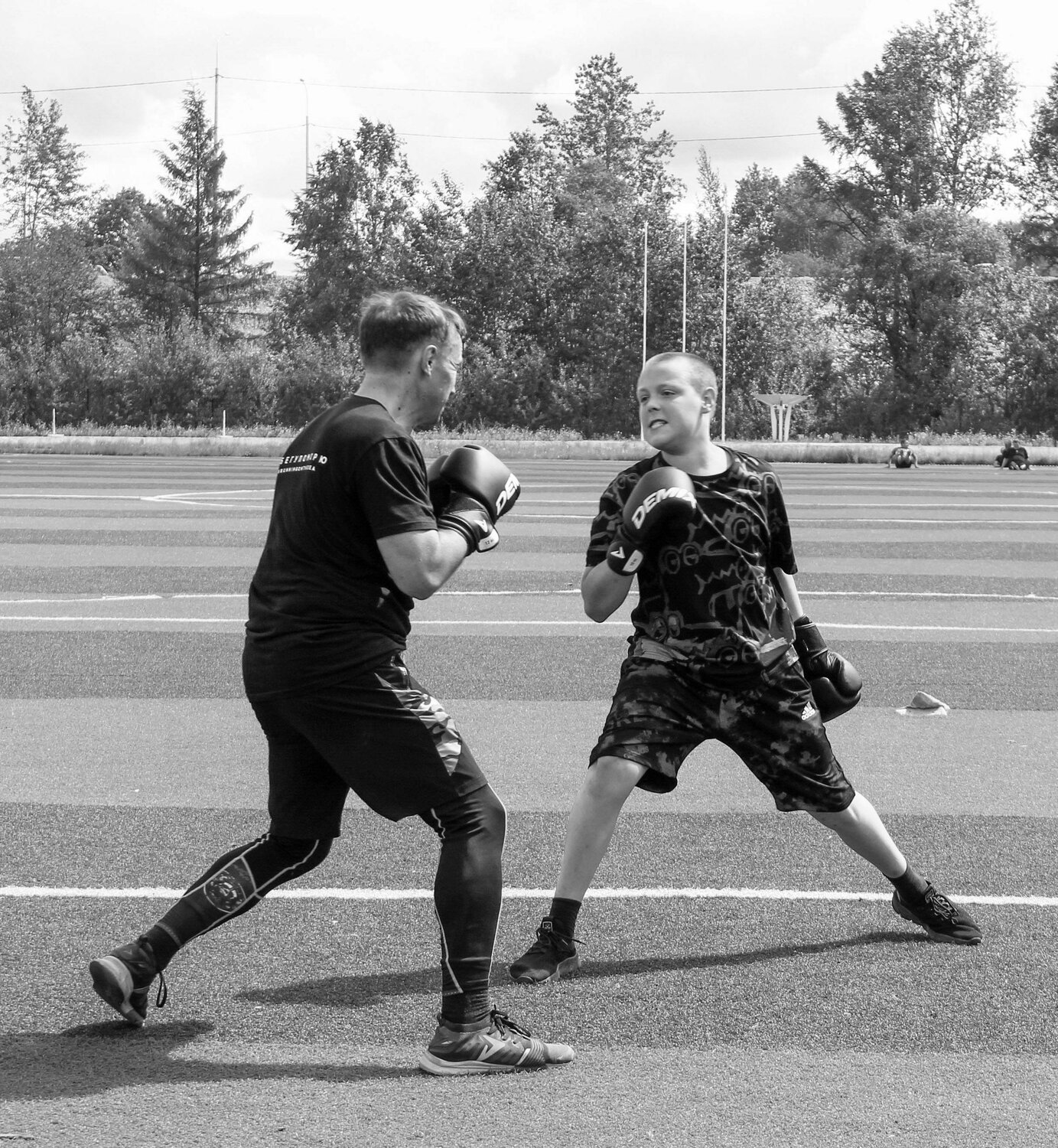 Photo #8711691