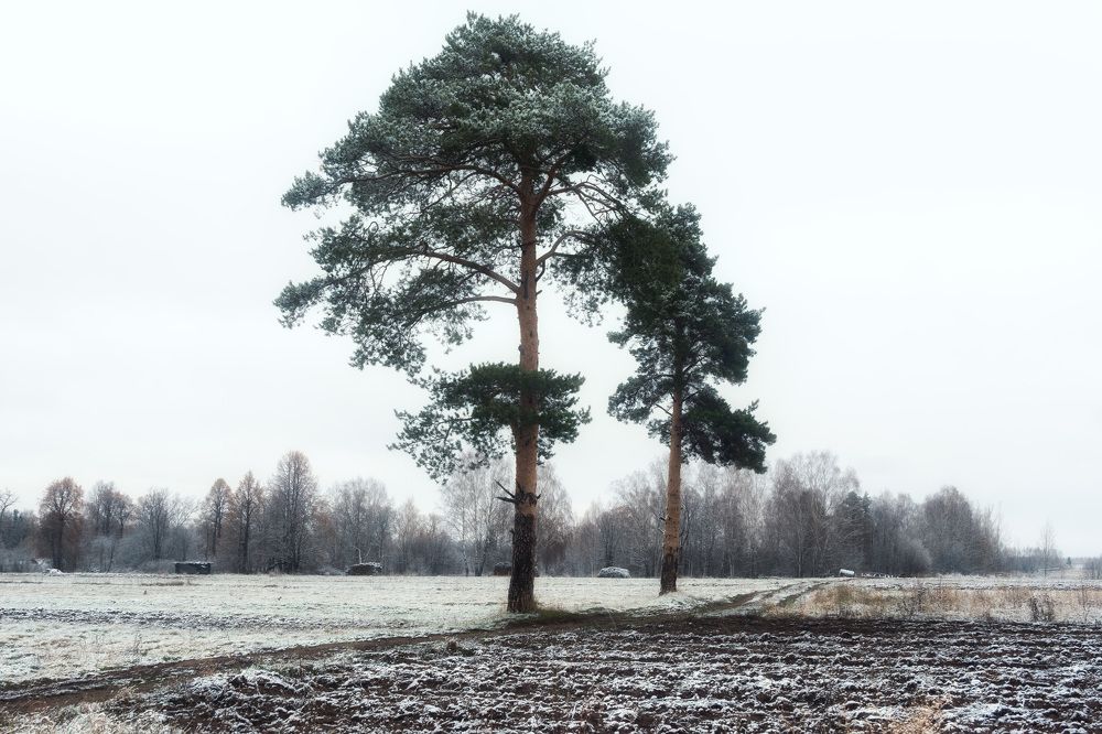 Photograph by Юлия Морозова